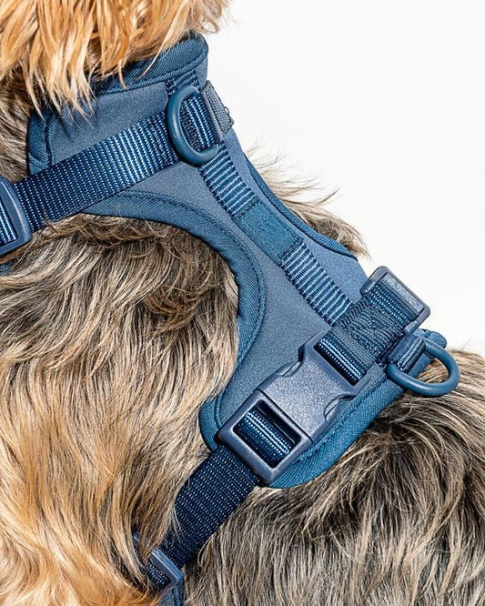 Arnés para perros